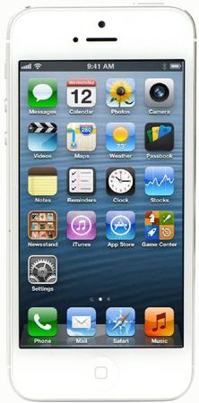 Смартфон Apple iPhone 5 64Gb White & Silver - Малгобек