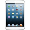 Apple iPad mini 16Gb Wi-Fi + Cellular белый - Малгобек