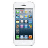 Apple iPhone 5 16Gb white - Малгобек